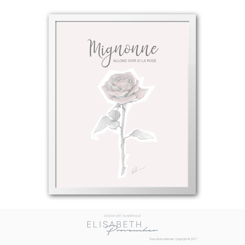 Mignonne Allons Voir Si La Rose Pierre De Ronsard Analyse